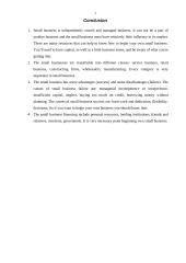 Small business 6 puslapis