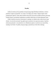 Namų ūkių išlaidų statistinis tyrimas 11 puslapis