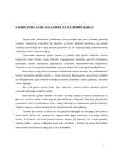 Tarptautinis darbo jėgos judėjimas 4 puslapis