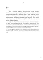 Tarptautinė prekyba ir valiutų kursai 2 puslapis