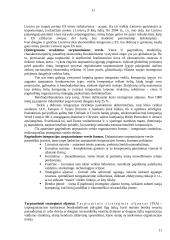 Tarptautinė prekyba ir valiutų kursai 11 puslapis