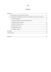 Transporto priemonių KASKO draudimas 2 puslapis