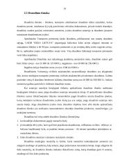 Transporto priemonių KASKO draudimas 14 puslapis