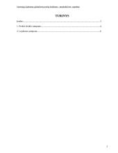 Vartotojų lojalumas globaliems prekių ženklams: tarpkultūrinis aspektas 2 puslapis