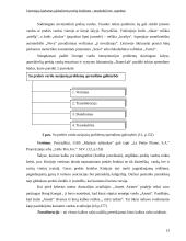Vartotojų lojalumas globaliems prekių ženklams: tarpkultūrinis aspektas 13 puslapis