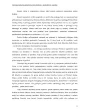 Vartotojų lojalumas globaliems prekių ženklams: tarpkultūrinis aspektas 6 puslapis