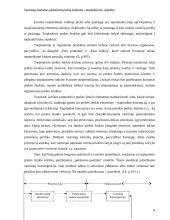 Vartotojų lojalumas globaliems prekių ženklams: tarpkultūrinis aspektas 9 puslapis