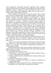 Viskas apie vegetarizmą 5 puslapis