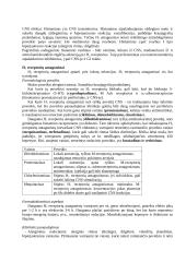 Autokoidai  2 puslapis