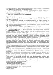 Autokoidai  3 puslapis