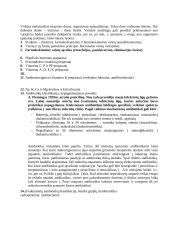 Autokoidai  4 puslapis