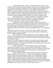 Google paieškos sistema, veikimo principai 3 puslapis