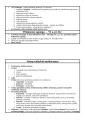 Graikijos civilizacija 5 puslapis