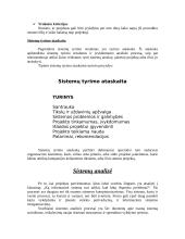 Informacinių sistemų tyrimas ir analizė 2 puslapis