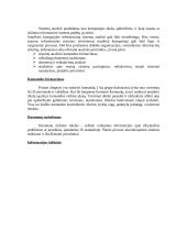 Informacinių sistemų tyrimas ir analizė 3 puslapis