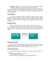 Informacinių sistemų tyrimas ir analizė 5 puslapis