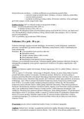 Antrojo pasaulinio karo teorija 3 puslapis