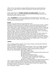 Antrojo pasaulinio karo teorija 4 puslapis