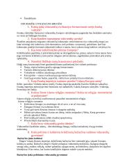 Išsami istorijos teorija 2 puslapis