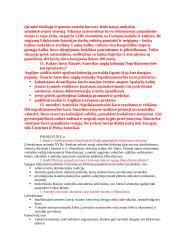 Išsami istorijos teorija 12 puslapis