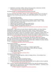 Išsami istorijos teorija 13 puslapis