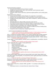 Išsami istorijos teorija 14 puslapis