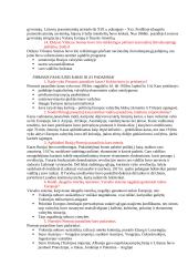 Išsami istorijos teorija 16 puslapis