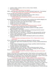 Išsami istorijos teorija 17 puslapis