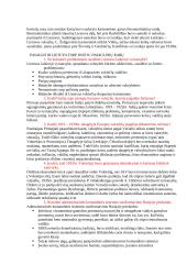 Išsami istorijos teorija 18 puslapis