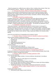 Išsami istorijos teorija 3 puslapis