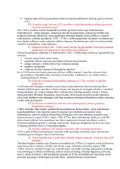 Išsami istorijos teorija 9 puslapis