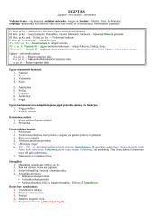 Visuotinės istorijos periodizacija 2 puslapis