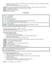 Visuotinės istorijos periodizacija 17 puslapis