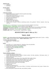 Visuotinės istorijos periodizacija 3 puslapis