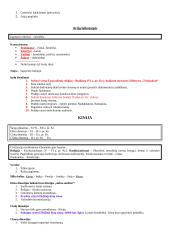 Visuotinės istorijos periodizacija 7 puslapis