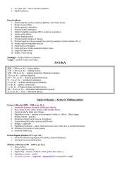 Visuotinės istorijos periodizacija 8 puslapis