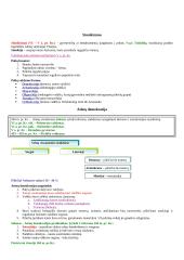 Visuotinės istorijos periodizacija 10 puslapis