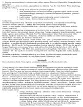 Senų laikų istorija 2 puslapis