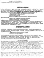 Senų laikų istorija 5 puslapis