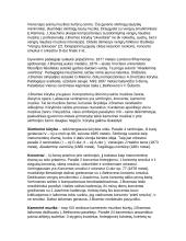 Johanesas Bramsas. Antonas Brukneris 3 puslapis