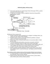 Judesių valdymo teorijos 2 puslapis