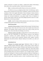 Komunikacijos ir bendravimo samprata 2 puslapis