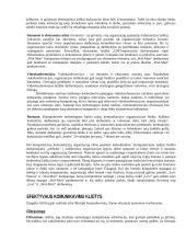 Komunikavimas 8 puslapis