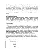 Komunikavimas 10 puslapis
