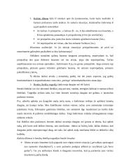 Konfliktas ir sutaikinimas 2 puslapis