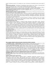 Lietuvos Konstitucinė teisė (lyginamoji) 5 puslapis