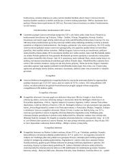 Krikščionybės istorija ir raida Lietuvoje 3 puslapis