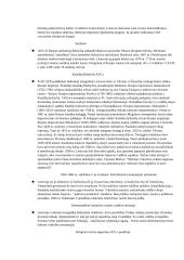 Krikščionybės istorija ir raida Lietuvoje 4 puslapis