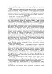 Kvėpavimo organų sistemos ligos 13 puslapis