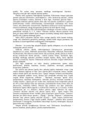 Kvėpavimo organų sistemos ligos 14 puslapis